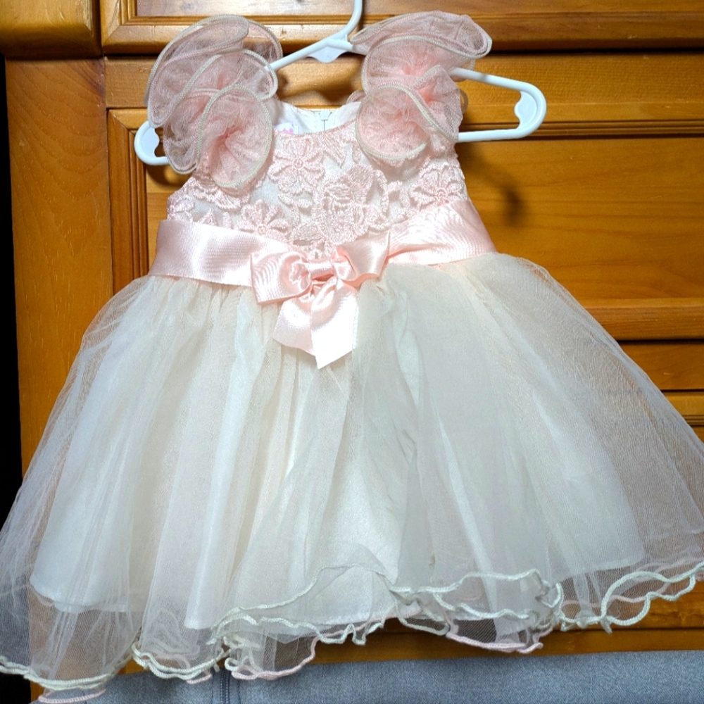 Baby Girls 6-9 Months Sleeveless Sparkle Embroidery Ballerina or formal Dress